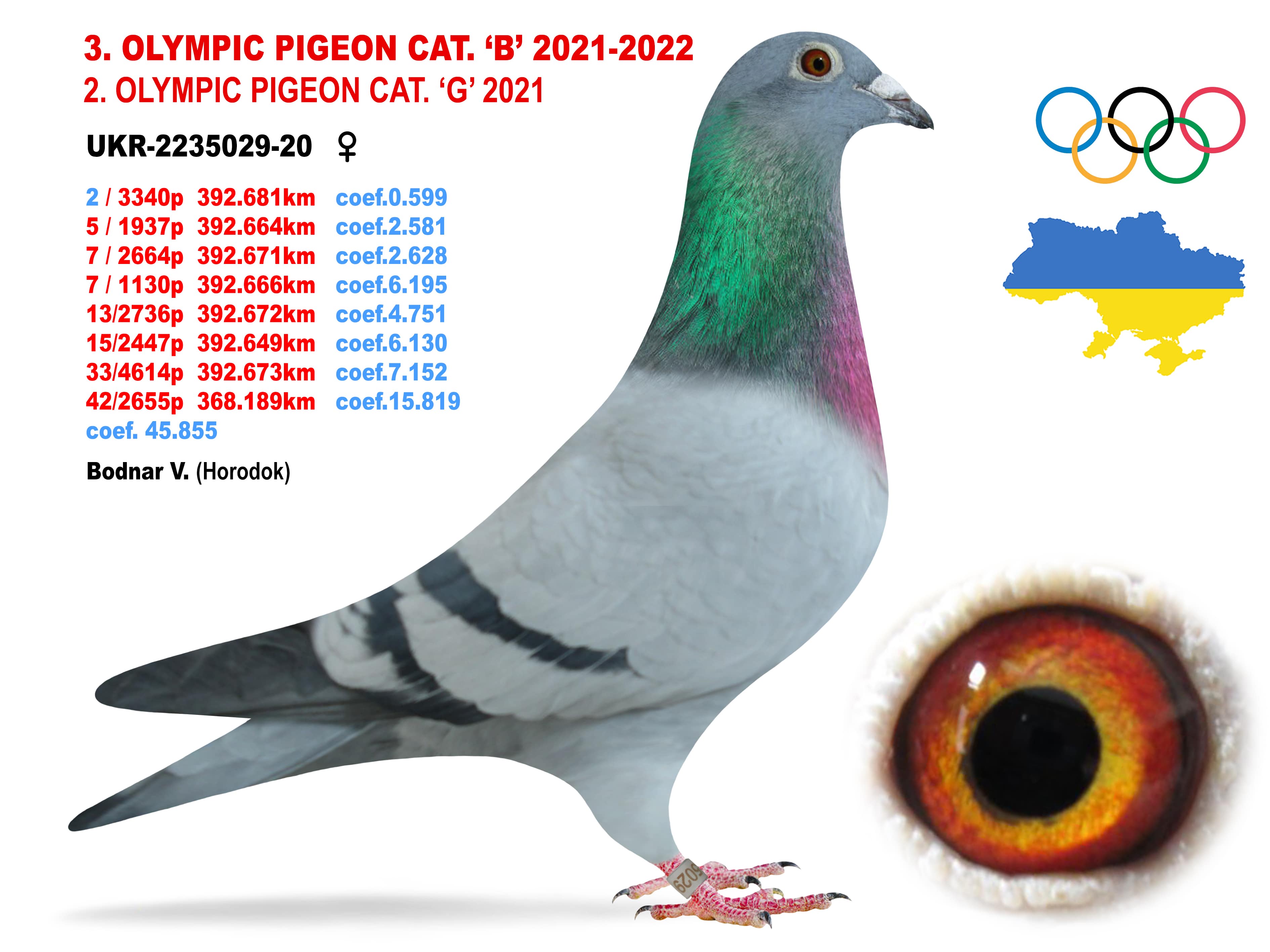 2022-B3
